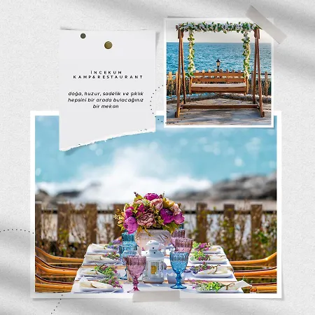 ,avsallar, Incekum ,helal El Diyar Snodrop Flowers * Alanya